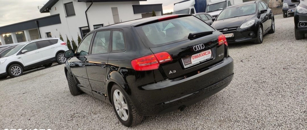 Audi A3 cena 24900 przebieg: 206954, rok produkcji 2010 z Lubin małe 781